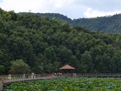 -东钱湖旅游度假区