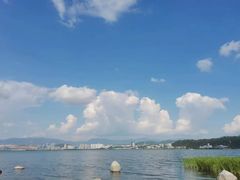 -洱海月湿地公园