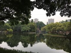 -晓港公园