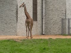 -石家庄市动物园