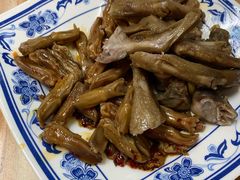 鸭舌-正斗潮州卤鹅