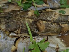 -渔家小院观海海肠捞饭地方菜(环海中路店)