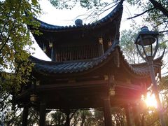 -金鸡山公园