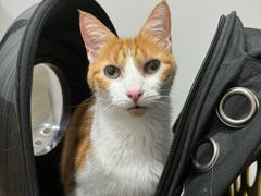 -荔康动物医院(康王北路店)