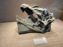 -自贡恐龙博物馆