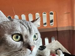 -FAELING PETS美天灵宠物(富力广场店)