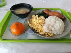 -上海野生动物园老虎餐厅