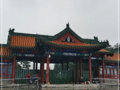 -莲花池公园