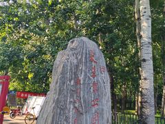 -大望京公园