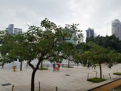 -关夫人餐厅(阳光广场店)