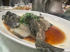 清蒸石斑鱼-金翠皇宫粤菜·点心·海鲜(翡翠店)