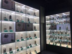 -广东中医药博物馆