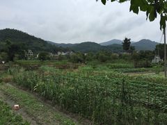 龙泉山庄-龙泉山庄(红山店)