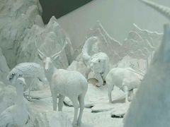 -中国湿地博物馆