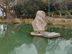 -金鸡湖桃花岛