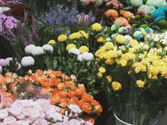 -双季花艺园艺市场(浦东店)