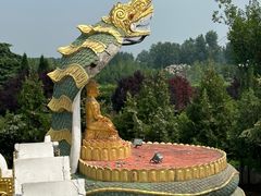 -洛阳白马寺