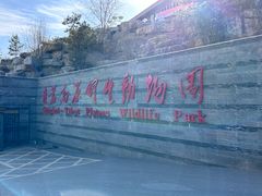 -青藏高原野生动物园