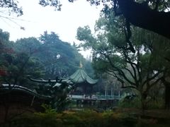 -申粤轩酒楼·三十年粤菜经典(丁香花园店)