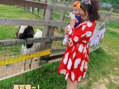 -田园东方蜜桃村的田野营地