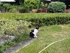 -九龙公园