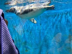 -青岛海底世界-水族馆