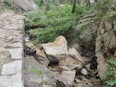 -大岭沟猕猴桃谷风景区