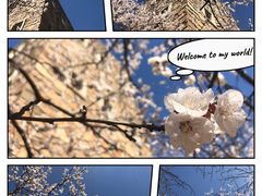 -国家植物园