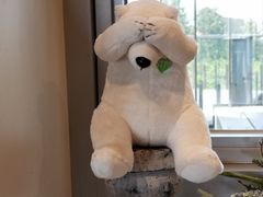 -济州岛泰迪熊博物馆