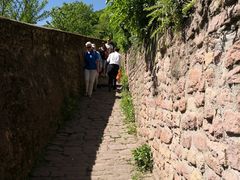 -哲学家之路徒步游(Philosophenweg)