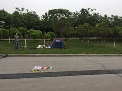 -洨河生态公园