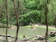 -溱湖国家湿地公园