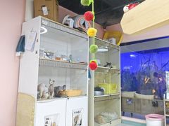 -上海大自然野生昆虫馆(东方明珠·爬宠昆虫探索中心)