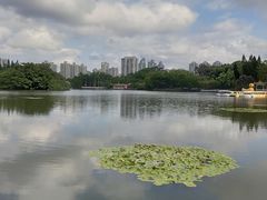 -荔枝公园(福田区)