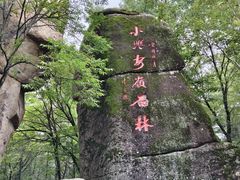 -汤旺河林海奇石景区