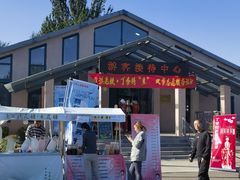-丁香湖公园