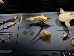 -浙江自然博物院(杭州馆)