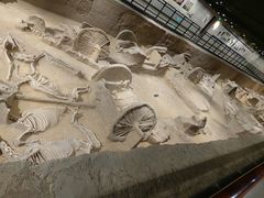 -洛阳周王城天子驾六博物馆