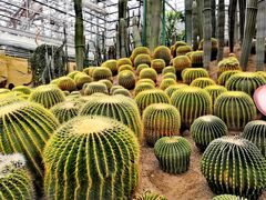 -南山植物园
