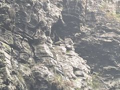 -狮子关旅游区