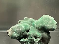 -中国地质博物馆