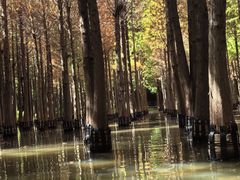 -捞渔河湿地公园