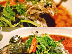 榄角蒸鲈鱼-虾饺妹·酒家(金碧店)