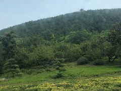 -云龙山