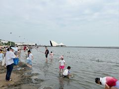 -碧海金沙