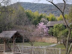 -兰亭风景区
