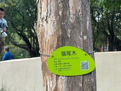 -晓港公园