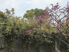 -无锡梅园公园