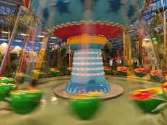 -南宫五洲植物乐园