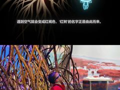 -中国湿地博物馆